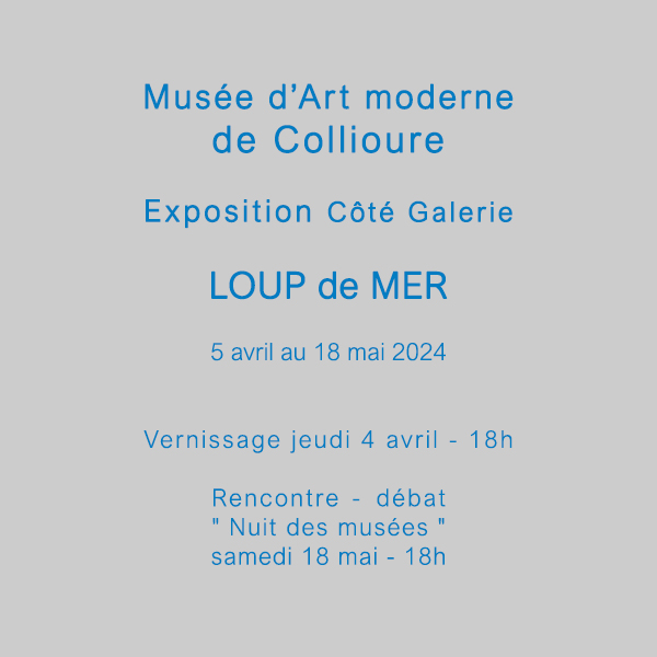 Collioure Musée Art moderne Matthieu Malvoisin